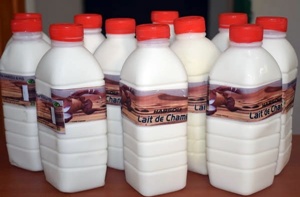 lait chamelle niger